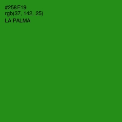 #258E19 - La Palma Color Image